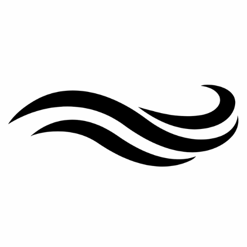 dNovo information and news