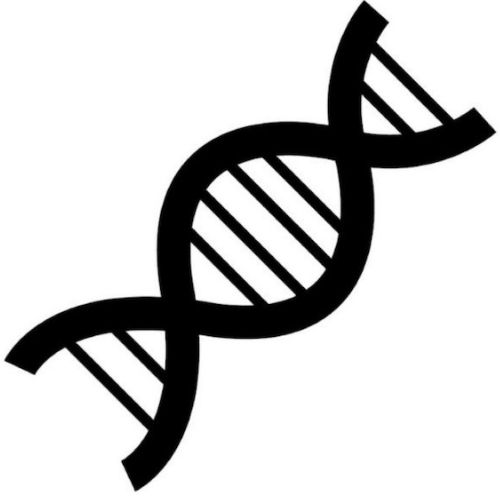DoNotAge.org information and news