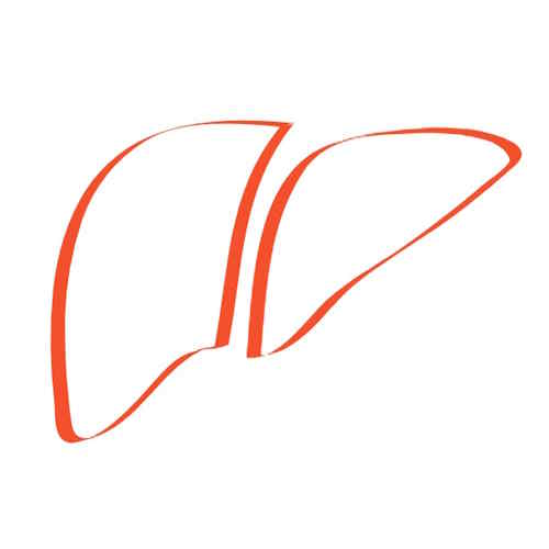 HepaRegeniX information and news