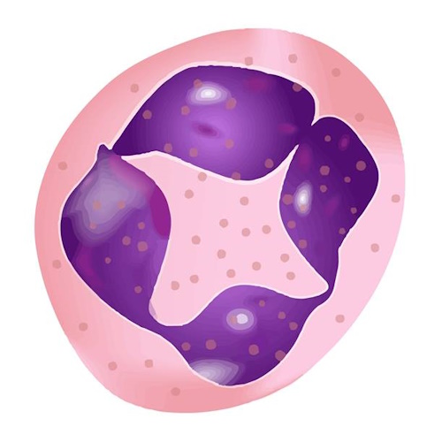 LIfT BioSciences information and news