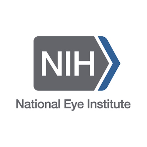 National Eye Institute (NEI) information and news