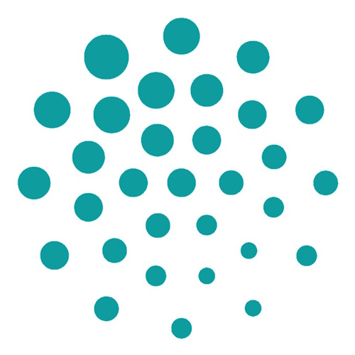 Sirius University of Science and Technology information and news