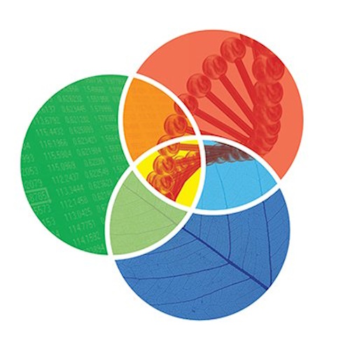 Wiley Interdisciplinary Reviews (WIREs) information and news