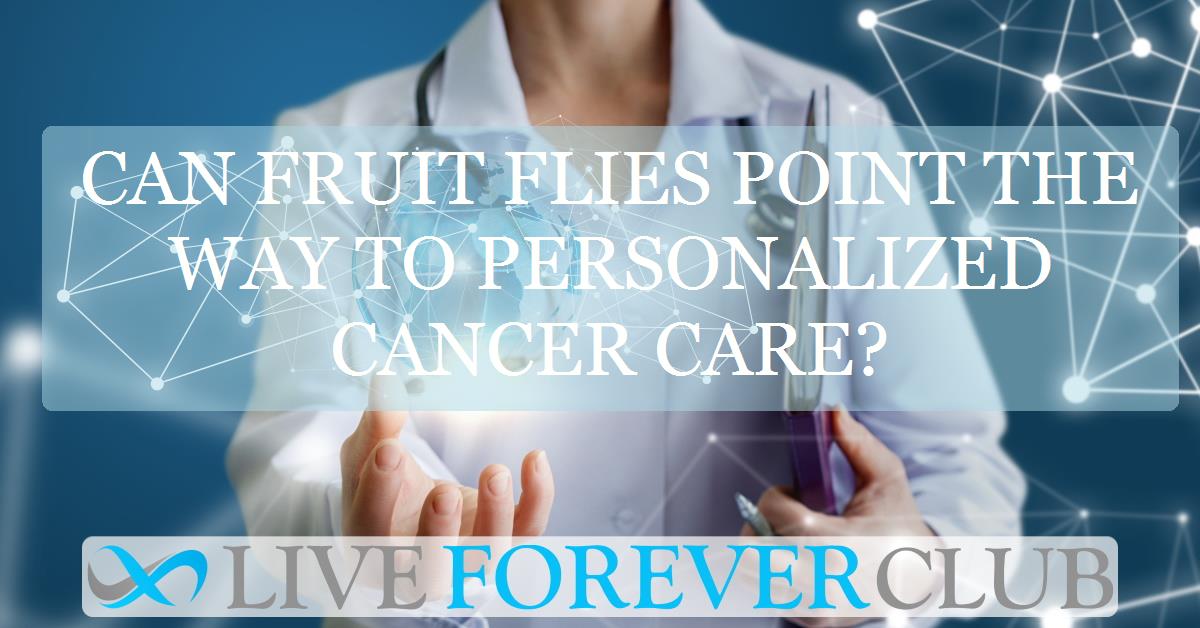 Can Fruit Flies Point the Way to Personalized Cancer Care?