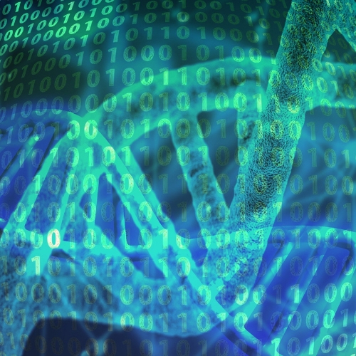 AI and human tissue models unite to transform precision medicine