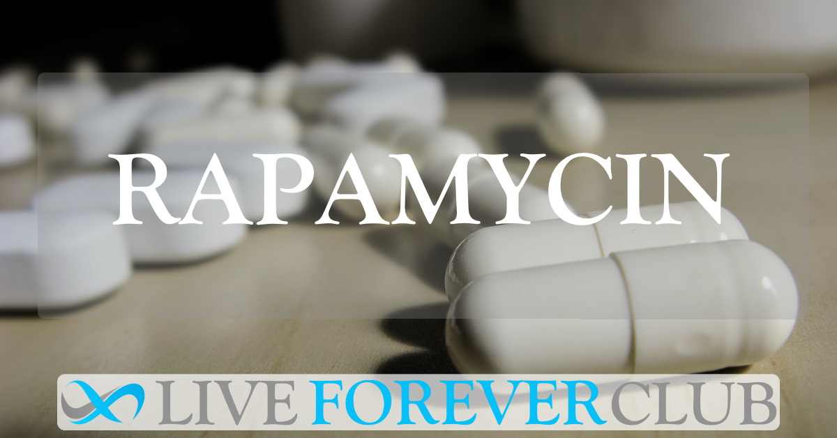 Rapamycin