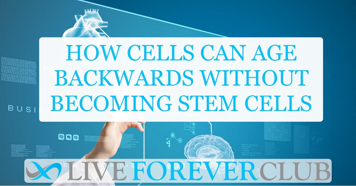 How cells can age backwards without becoming stem cells