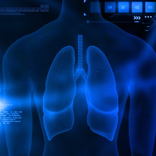 Air pollution directly linked to child's death