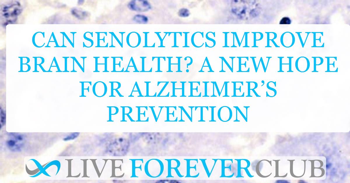 Can senolytics improve brain health? A new hope for Alzheimer’s prevention