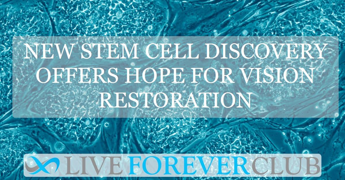 New stem cell discovery offers hope for vision restoration