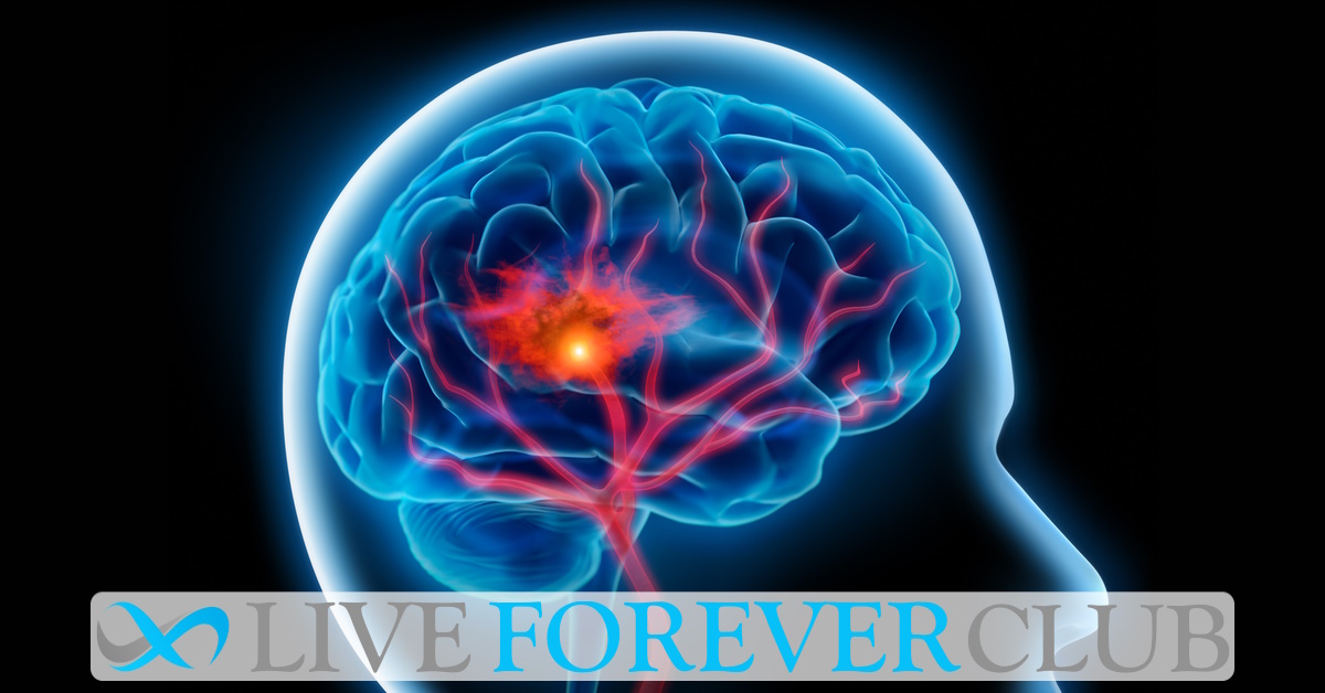 Ultrasound boosts brain recovery after stroke