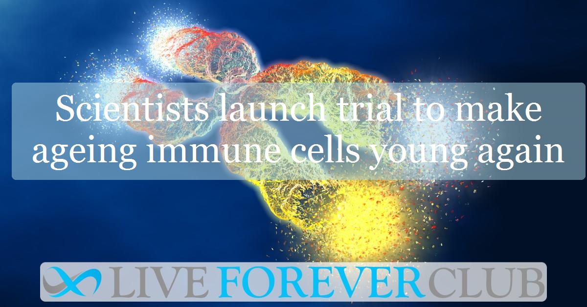 Scientists launch trial to make ageing immune cells young again