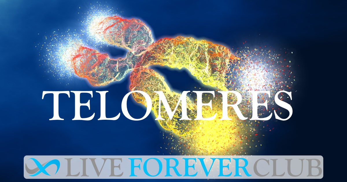 Telomeres