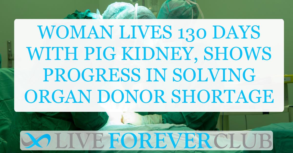 Woman lives 130 days with pig kidney, shows progress in solving organ donor shortage