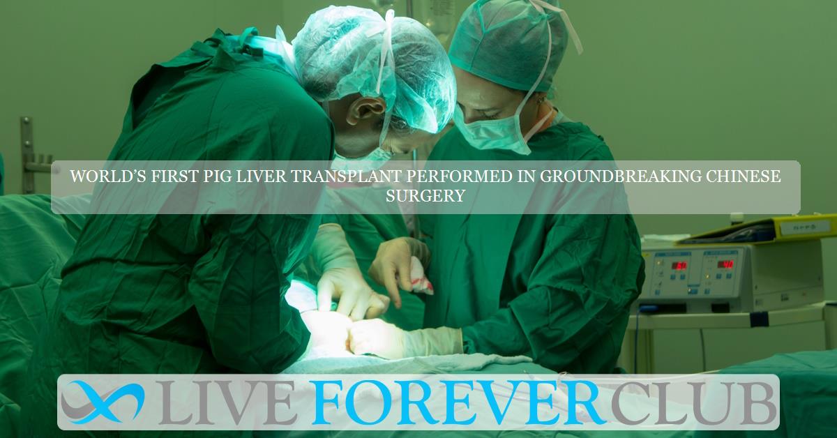 World’s first pig liver transplant performed in groundbreaking Chinese surgery