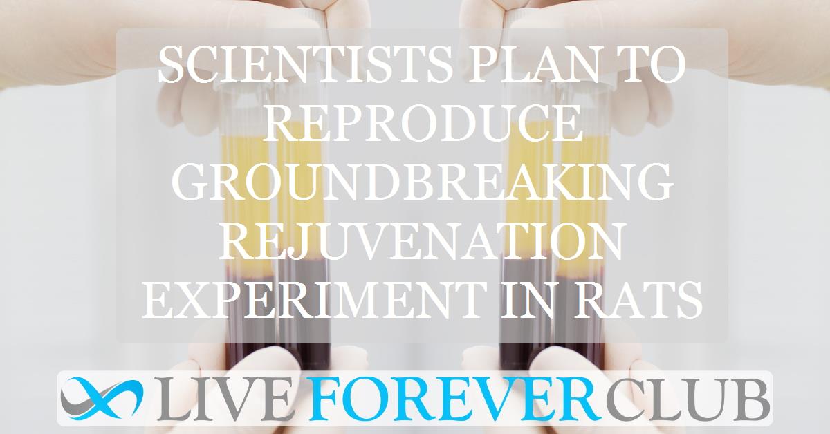 Scientists plan to reproduce groundbreaking rejuvenation experiment in rats