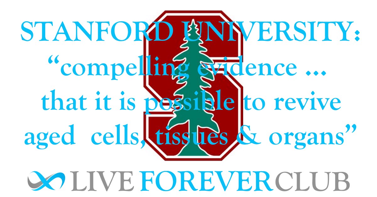 Stanford University optimistic about human rejuvenation