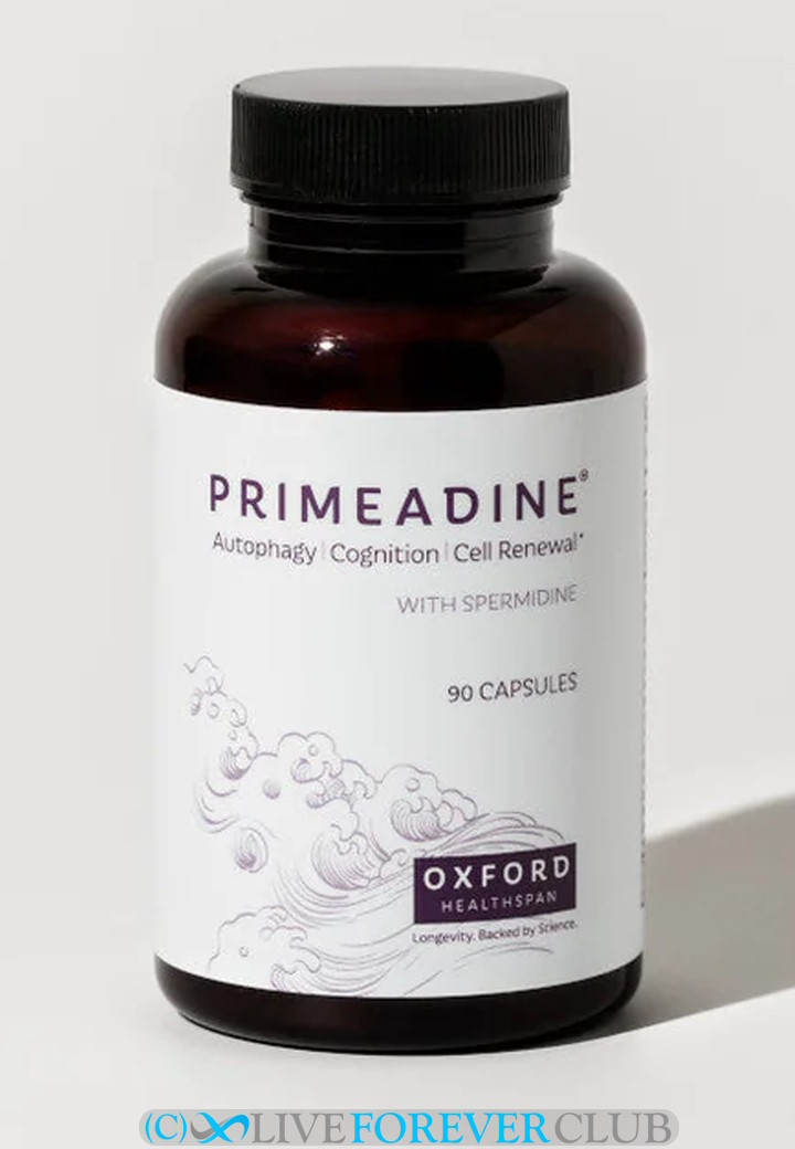 spermidine primeadine