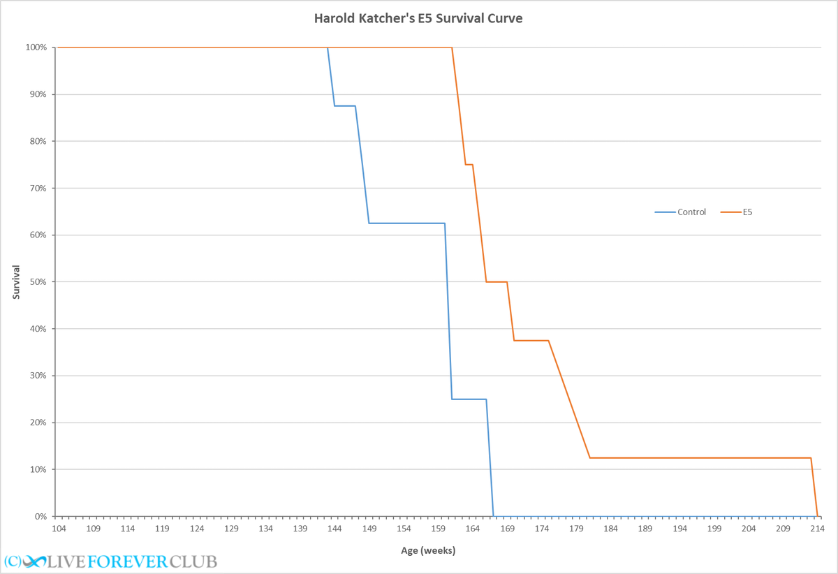 Katcher E5 Elixir rats survival curve - final